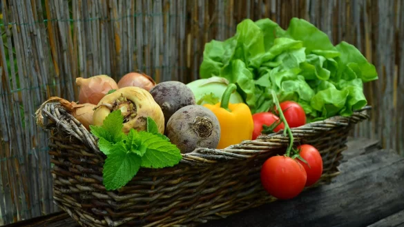 Wie teuer ist eine gesunde Ernährung? Das testet der Bürgerrat - und leitet Handlungsempfehlungen für die Politik ab. - © Pixabay/congerdesign