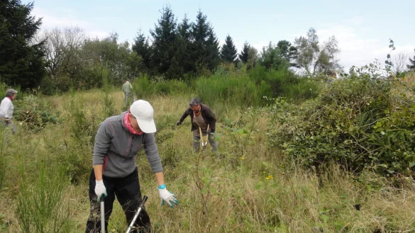 Freiwillige des Bergwaldprojektes bei Landschaftspflegema&szlig;nahmen auf dem Preu&szlig;ischen Velmerstot. Hier wird gegen den Wald auf der Kuppe "angearbeitet". - &copy; Andreas Bathe