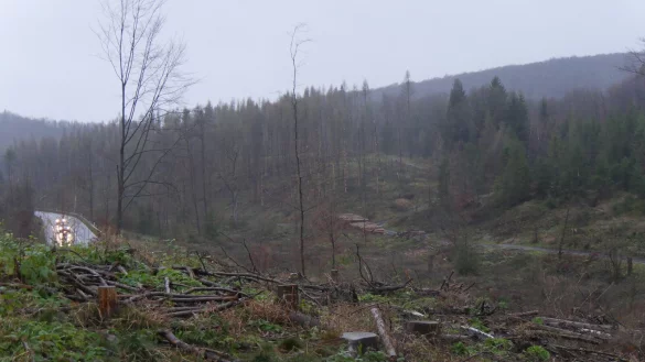 Rund um das Dreieck von B1 und Altenbekener Stra&szlig;e bei Horn sind auf diesem Archivfoto von Ende 2021 die Waldsch&auml;den deutlich sichtbar. Der komplett abgeholzte Bereich wird vom Landesverband betreut, der Bereich auf dem noch abgestorbene Fichten stehen, ist Teil des Horn-Bad Meinberger Stadtwalds, der k&uuml;nftig ebenfalls vom Landesverband betreut werden wird. - &copy; Archivfoto: Jost Wolf