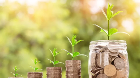 Geld so ausgeben, dass der Einsatz von Investitionen mitelfristig Früchte trägt: Das ist das Ziel des Haushaltes 2024. - © Symbolfoto: Pixabay