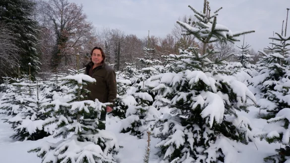 Andr&eacute; Hosters hat 2016 mit dem Anbau von Nordmanntannen begonnen. Verkauft werden sie seit zwei Jahren. Bis dahin mussten die B&auml;ume erstmal wachsen. - &copy; Lorraine Brinkmann