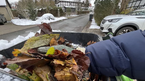 So wie hier &auml;rgern sich viele Lemgoer &uuml;ber Saisonbiotonnen, die bei der letzten Leerung voll blieben. Der Grund: Das Laub war festgefroren. - &copy; Till Brand