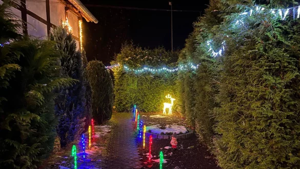 Eigentlich sieht es im Garten von Familie Brandt so aus. Die bunte Beleuchtung wurde allerdings zum zweiten Mal besch&auml;digt. - &copy; Isabell Brandt