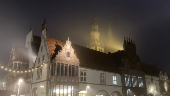 Im Lemgoer Rathaus ist es am Montagabend hoch her gegangen. - &copy; christiane Thiel