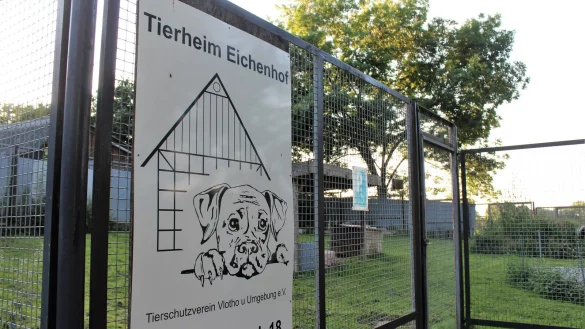 Laut der Pressemitteilung des Tierschutzvereins Vlotho und Umgebung sind mehrere Gespr&auml;che mit der Stadt Herford &uuml;ber eine Anhebung der Fundtierpauschale ohne Ergebnis geblieben. Jetzt ziehen die Betreiber des Tierheims Eichenhof Konsequenzen. - &copy; Anastasia von Fugler