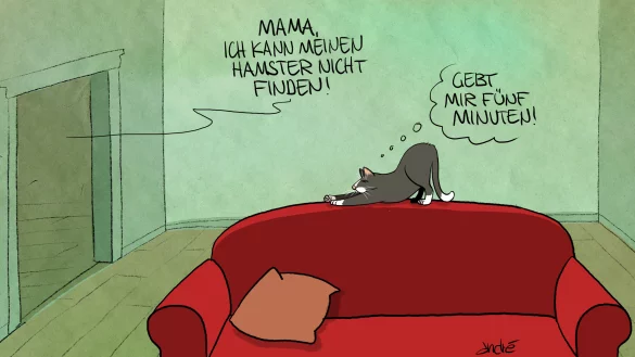 Man h&auml;tte die Suche auch abk&uuml;rzen k&ouml;nnen... - &copy; Andr&eacute; Sedlaczek