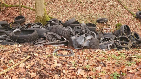 Im Wald zwischen Rischenau und Elbrinxen haben Unbekannte zahlreiche Reifen illegal entsorgt. - &copy; Antje Pott