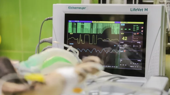 Eine der Hettling-Praxen ist bis auf Weiteres geschlossen. - &copy; Symbolfoto