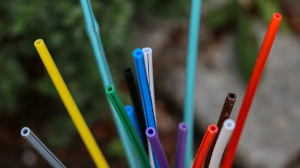 Das Unternehmen "Glasfaser Nordwest" baut im Lemgoer Norden ab 2023 das schnelle Internet aus. - &copy; pixabay/PlaNet Fox