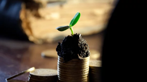 Noch gedeiht das zarte Pfl&auml;nzchen Gewerbesteuer. Allerdings bleibt K&auml;mmerer Tim S&ouml;lter vorsichtig, weil sich deren Entwicklung in der aktuellen Situation schlecht vorhersagen l&auml;sst. - &copy; pixabay/Alexsander-777