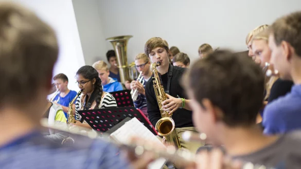 Musikunterricht bietet für Schüler und Schule viel Potenzial, nur fehlt es an Musiklehrern. Foto: picture alliance - © picture alliance / photothek