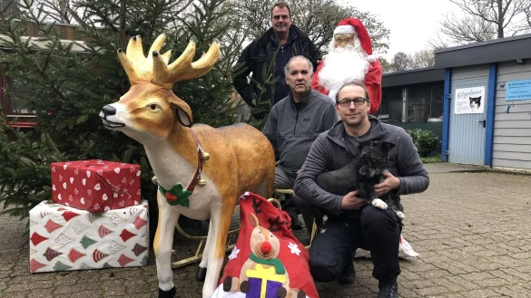 Bj&ouml;rn Schakat (von rechts), Stefan Quirini und Thomas Stipp sind das neue Vorstands-Trio des Tierschutzvereins Lemgo-Bad Salzuflen. - &copy; Sven Kienscherf
