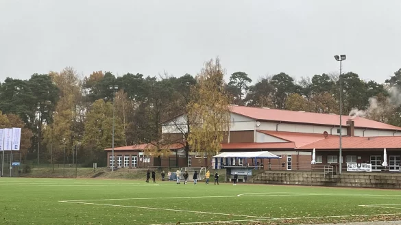 Das "Wäldchen" hinter dem Sportplatz am Rennekamp. - © Michael Zans