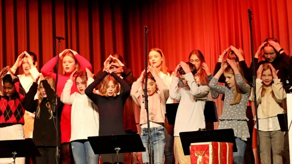 Weihnachtskonzert des Niklas-Luhmann-Gymnasiums. - &copy; Gunter Held