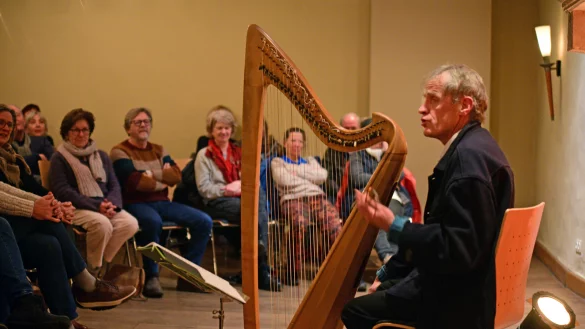 Tom Daun an seiner Harfe im Rittersaal der Burg. - &copy; Nicole Ellerbrake