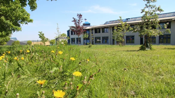 Wegen der Rückkehr zu G9 muss das Gymnasium im Schulzentrum Horn erweitert werden. Das soll auf dieser Grünfläche erfolgen. - © Dieter Asbrock