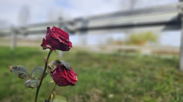 Blumen an der Unfallstelle erinnern noch Wochen sp&auml;ter an den beim Unfall get&ouml;teten Mann (54). Angeh&ouml;rige hatten eine Gedenkstelle eingerichtet. - &copy; Janet K&ouml;nig