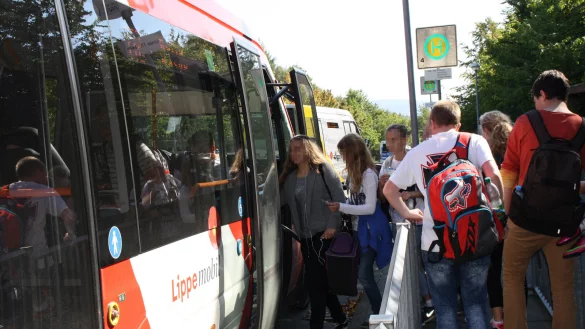 Mit dem Bus konnten die Lemgoer Sch&uuml;ler bislang durch ganz Westfalen fahren. Ab dem kommenden Schuljahr m&uuml;ssen sie zuzahlen. - &copy; Freya K&ouml;hring