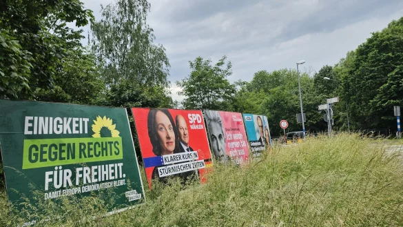 Am Marktkaufkreisel sind die Gro&szlig;plakate unversehrt - das Gr&uuml;n davor wuchert fr&ouml;hlich. An der Breiten Stra&szlig;e wurden zwei Plakate mit verfassungsfeindlichen Symbolen verunstaltet. Der Staatsschutz ermittelt. - &copy; Astrid Sewing