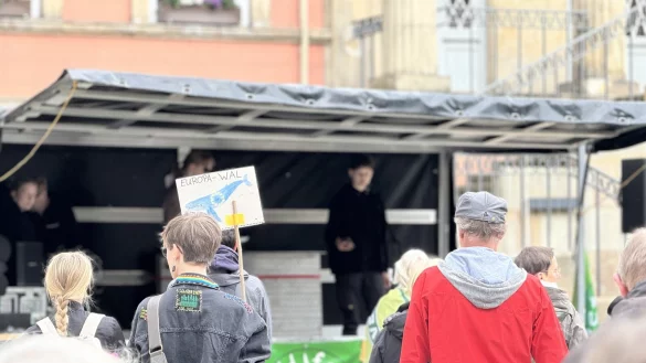 Zu einer Demonstration von Fridays for Future sind am Freitag rund 70 Menschen auf den Detmolder Marktplatz gekommen. - © Raphael Bartling