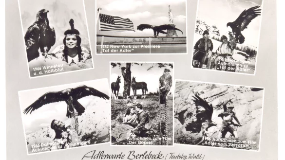Diese Postkarte aus dem Jahr 1966 zeigt sechs Aufnahmen aus Filmen, in denen Steinadler Peter beteiligt war. - &copy; Stadtarchiv Detmold