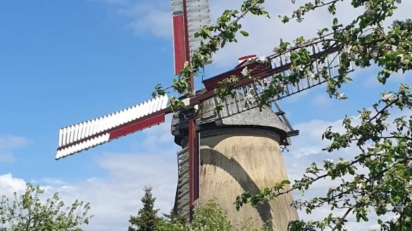 Die Windm&uuml;hle Brink &ouml;ffnet zum Deutschen M&uuml;hlentag ihre T&uuml;r. - &copy; Fotorechte: Familie Brink