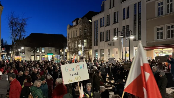Weit &uuml;ber 500 Teilnehmende hatten nach dem Geheimtreffen in Potsdam und der Ver&ouml;ffentlichung von "Correktiv" auf dem Lagenser Marktplatz f&uuml;r den Erhalt der Demokratie demonstriert. - &copy; Sandra Castrup