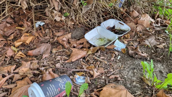 Wild entsorgter Abfall ist ein &Auml;rgernis. Die Stadt Bad Salzuflen geht mit verschiedenen Ma&szlig;nahmen zur Vermeidung und Beseitigung von M&uuml;ll vor. - &copy; Freya K&ouml;hring