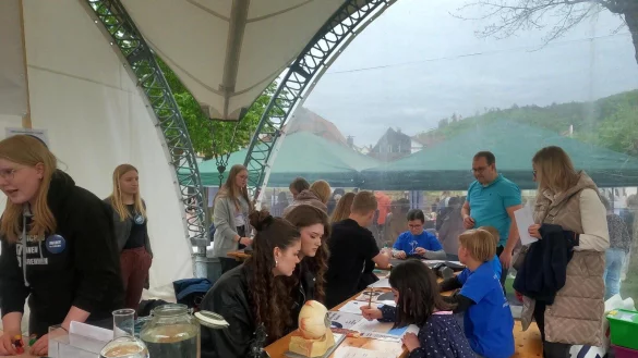 Viel zu entdecken gab es beim zw&ouml;lften MINT-Tag im Emmerauenpark. - &copy; Carlhermann Schmitt