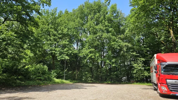 Auf der linken Seite, wo die Laterne steht, k&ouml;nnten drei Stellpl&auml;tze f&uuml;r Wohnmobile ausgewiesen werden. Stromverteiler und Abwasserentsorgung waren im Plan, der im Ausschuss vorgestellt wurde, auf der gegen&uuml;berliegenden Seite. - &copy; Astrid Sewing