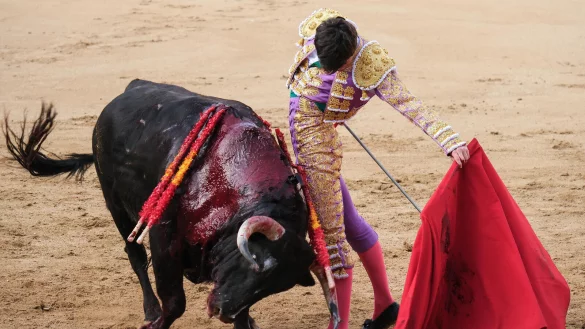 Der Torero Trist&aacute;n Barroso bei einem Stierkampf am 7. April 2024 in Madrid. - &copy; picture alliance / Sipa USA
