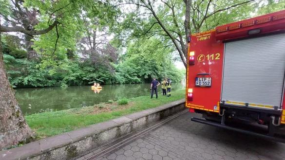 Die Feuerwehr birgt den K&uuml;ken-Kadaver. - &copy; Feuerwehr Detmold