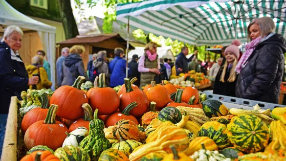 Der Bad Meinberger Bauernmarkt hat 2023 wieder viele Besucher angezogen. Dieses Jahr soll er gr&ouml;&szlig;er werden - auch um die Verluste des Weinfestes zu kompensieren. - &copy; Nicole Ellerbrake