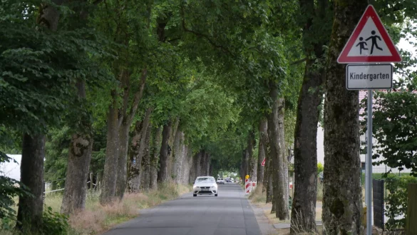 Die Lindenstra&szlig;e ist nachts dunkel. Der Alleecharakter macht aber den Bau von Laternen schwierig, auch wenn das wegen der Kita angebracht w&auml;re. - &copy; Jost Wolf