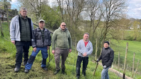 Mit tatkr&auml;ftiger Unterst&uuml;tzung des Euwatec-Teams unter der Leitung von Gerhard Borowski (2. von rechts) und Blomberg Marketing-Mitglied Klaus Geise (rechts) ist der Blomberger Weinberg &uuml;berarbeitet. - &copy; Blomberg Marketing