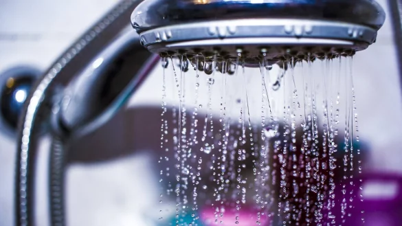 Sind Wasserleitungen lange nicht in Betrieb, steigt die Gefahr durch Legionellen. Das Einatmen des Wasserdampfes, zum Beispiel beim Duschen, kann zu einer Infektion mit den Bakterien f&uuml;hren. - &copy; Symbolbild: Pixabay