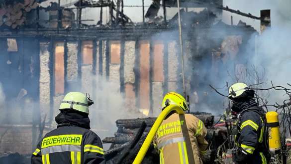 Ein Heckenbrand hat am Dienstag in Pivitsheide auf ein angrenzendes Wohnhaus &uuml;bergegriffen. Rund hundert Einsatzkr&auml;fte der Feuerwehr waren mit den L&ouml;scharbeiten betraut. - &copy; Raphael Bartling
