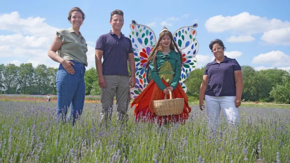 Henrike Pivit (Taoasis, von links), Lavendel-Bauer Luis Rehermann, Gartenschau-Botschafterin "Holli" und LGS-Chefin Claudia Koch im lilafarbenen Meer am Weserstrand. Aktuell stehen die 58.000 Lavendel-Pflanzen in voller Bl&uuml;te. - &copy; Michaela Wei&szlig;e