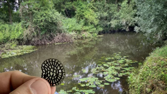 Seit einigen Tagen tr&uuml;ben tausende von Plastikpl&auml;ttchen, die am Ufer der Ems rechts und links des Flusses liegen, den eigentlich idyllischen Eindruck. - &copy; Markus Voss/Andreas Fr&uuml;cht