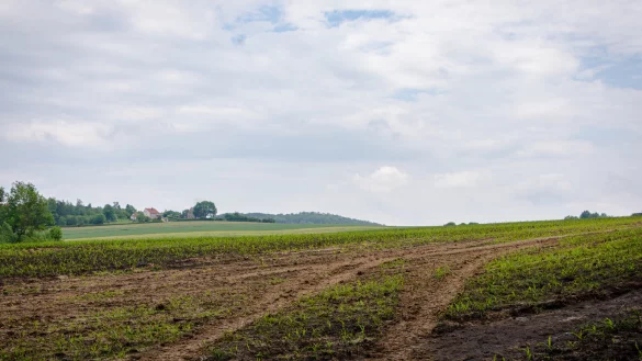 Besonders von den &Auml;ckern rund um Kl&uuml;t bahnte sich das Wasser seinen Weg in die Ortschaft. - &copy; Raphael Bartling