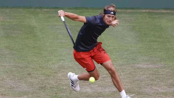 Alexander Zverev begeistert bei seiner R&uuml;ckkehr auf den Haller Rasen mit einer starken, sehr konzentrierten Leistung. - &copy; IMAGO/Hasenkopf