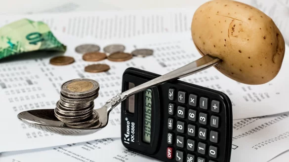 Die Stadt muss k&uuml;nftig jeden Euro auf die Wagschale legen. Den Sommer &uuml;ber werden Einsparvorschl&auml;ge erarbeitet. Im Herbst wird die Politik dar&uuml;ber entscheiden. 14 Millionen Euro m&uuml;ssen gespart werden - das sind etwa 5 Porzent des gesamten Detmolder Etats, der zum allergr&ouml;&szlig;ten Teil aus Fixkosten und einer nur geringen freien Spitze besteht. - &copy; Pixabay