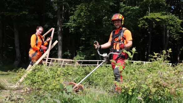 Nane Albutat steht am Hordengatter &ndash; es wird um ein St&uuml;ck Wald gezogen, um Tiere von Jungpflanzen fernzuhalten. Kollege Louis Roggow hat die Motorsense dabei. - &copy; Alexandra Schaller