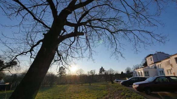 Direkt unterhalb des Meditationszentrums Auraoum (rechts im Bild) am Bad Meinberger Johanna-Fuchs-Weg ist noch Platz f&uuml;r 15 Reihenh&auml;user. - &copy; Jost Wolf