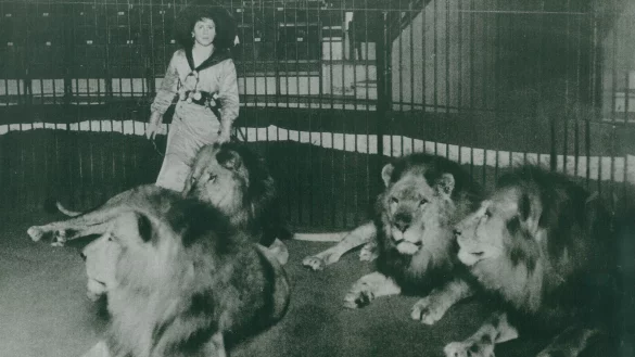 Die mehrfach ausgezeichnete Dompteurin Dora Friese begeisterte mit ihren L&ouml;wen Menschen in ganz Europa und Asien. - &copy; Archiv Schmidt-Friese