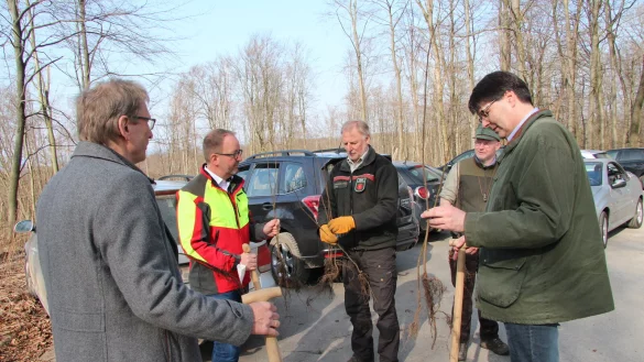 Stadtwerke-Gesch&auml;ftsf&uuml;hrer J&ouml;rg Karlikowski (links) und Aufsichtsratschef Stephan Grigat (rechts) sehen sich zusammen mit Landesverbandsvorsteher J&ouml;rg D&uuml;ning-Gast, Forstabteilungsleiter Hans-Ulrich Braun und Stefan Schreiber vom Forstrevier Hiddesen die Setzlinge f&uuml;r die Pflanzaktion. - &copy; Jana Beckmann