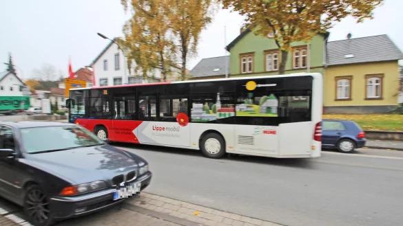 Grundsch&uuml;ler aus Kalletal k&ouml;nnen k&uuml;nftig theoretisch durch ganz Deutschland mit Bus und Bahn fahren. - &copy; Archivfoto: Jens Rademacher
