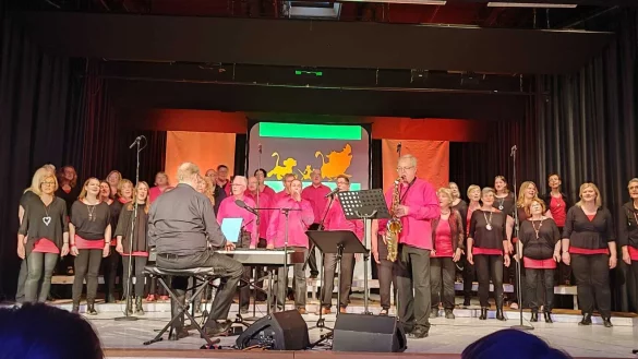 Der Chor &bdquo;Hakuna Matata&ldquo; singt aus dem Film &bdquo;K&ouml;nig der L&ouml;wen&ldquo;. Am
Saxofon: Chorgr&uuml;nder Rolf Kehde. - &copy; Lips in Motion