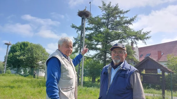 Vorsitzender G&uuml;nter Kopei (links) und Storchenpfleger Rolf Klinge schauen bei den St&ouml;rchen t&auml;glich nach dem Rechten. - &copy; Michaela Wei&szlig;e
