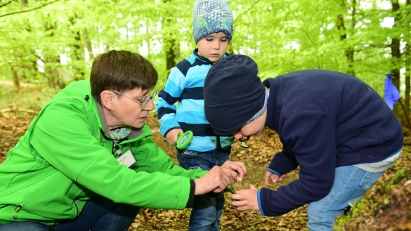 Bei der Klima-Rallye gab es f&uuml;r die ganze Familie etwas zu entdecken. Birgit H&uuml;bner sucht mit Henry (Mitte) und Theo nach Insekten. - &copy; Nicole Ellerbrake